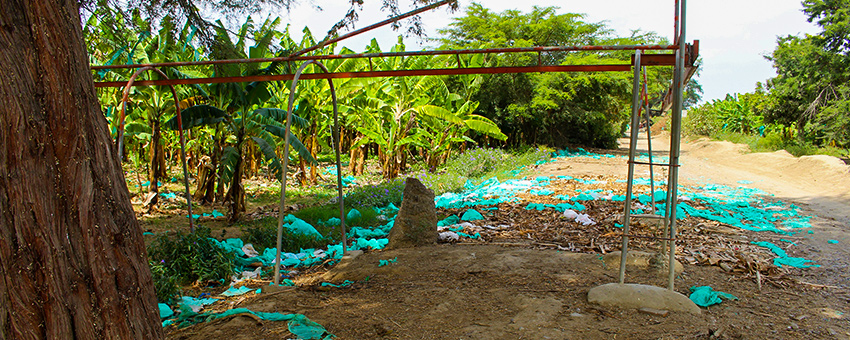 AgroFair-Banana-Plastic-recycling-factory-Ecoban-07