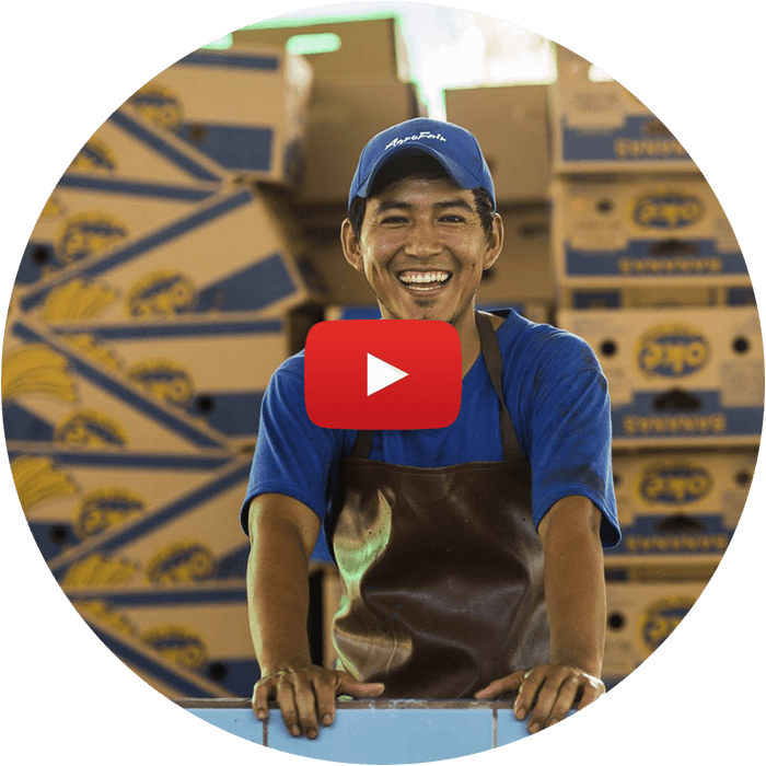 AgroFair-Banana-Supply-Chain-Step-04