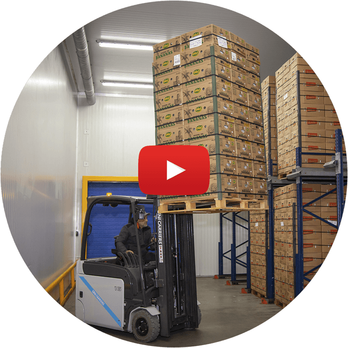 AgroFair-Banana-Supply-Chain-Step-06