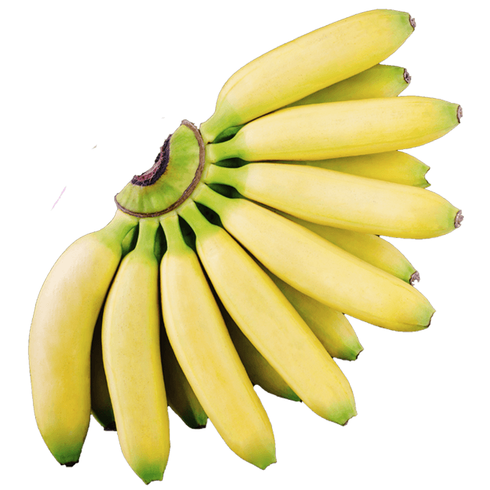 AgroFair-Banana-Supply-Chain-Step-06a AgroFair-Banana-Supply-Chain-Step-06a
