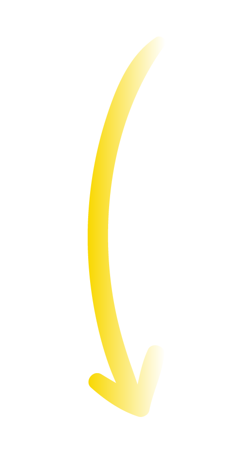 AgroFair-Banana-Supply-Chain-arrow-down_v2 AgroFair-Banana-Supply-Chain-arrow-down_v2