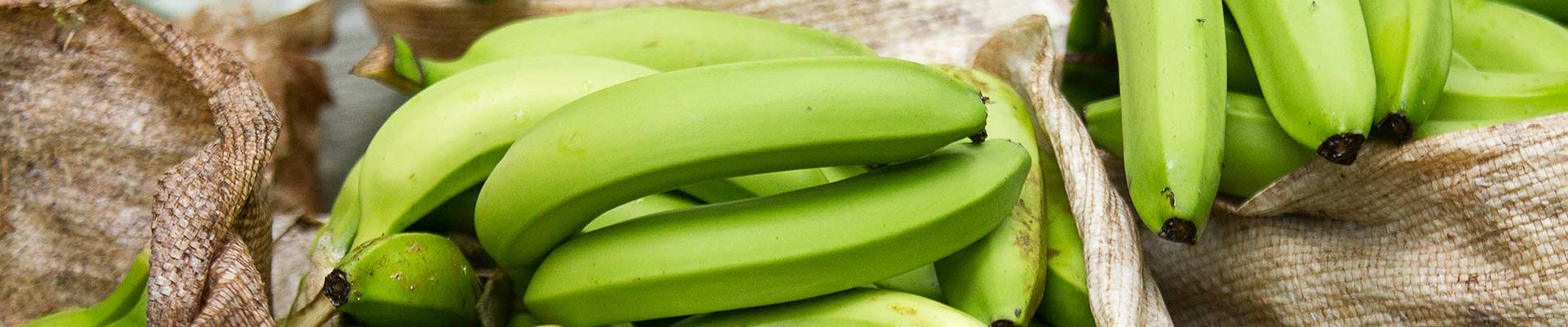 AgroFair-Fairtrade-Bio-Organic-Bananes-Fruit-Durabilité-slider-01