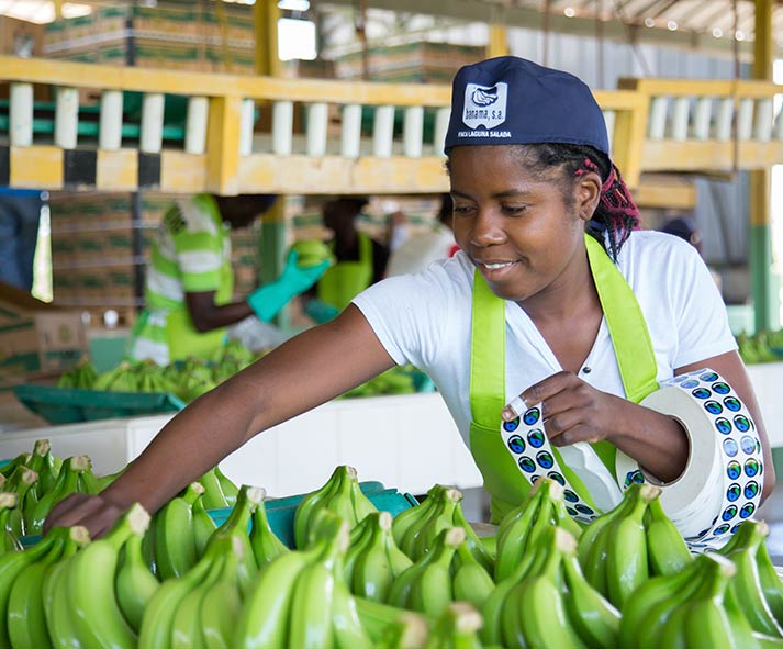 AgroFair-Importer-Fairtrade-Bio-Organic-Bananas-Certification_01