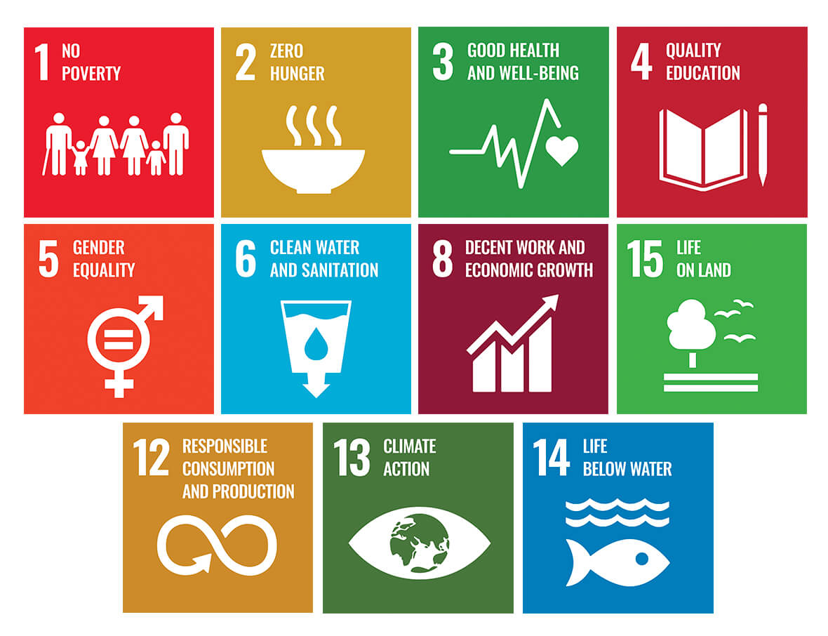 AgroFair-Importer-Fairtrade-Bio-Organic-Bananas-SDG-01 AgroFair-Importer-Fairtrade-Bio-Organic-Bananas-SDG-01