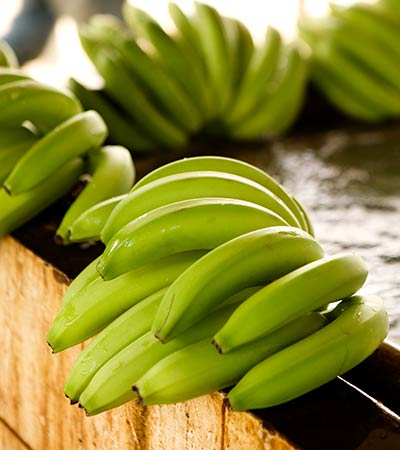 AgroFair-Importer-Fairtrade-Bio-Organic-Bananas-Social-Responsibility-03 AgroFair-Importer-Fairtrade-Bio-Organic-Bananas-Social-Responsibility-03