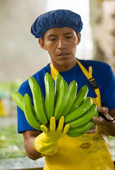 AgroFair-Importer-Fairtrade-Bio-Organic-Bananas-Social-Responsibility-07 AgroFair-Importer-Fairtrade-Bio-Organic-Bananas-Social-Responsibility-07