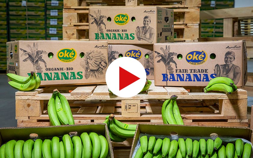 Bananas & \'Fairtrade Producer Bio-Organic\' and importer | Fairtrade of bananas