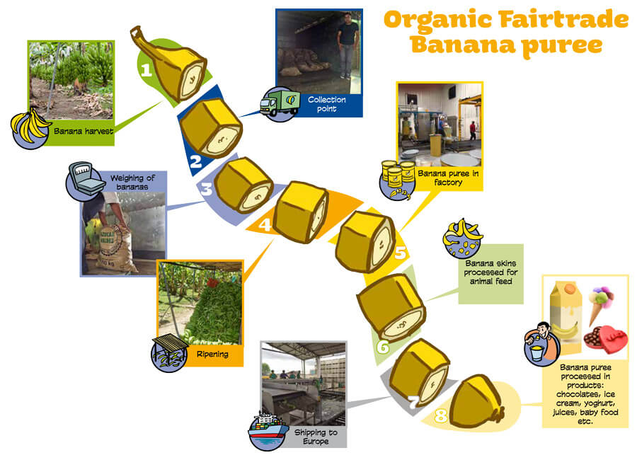 AgroFair_Organic_Fairtrade_Banana_Puree AgroFair_Organic_Fairtrade_Banana_Puree